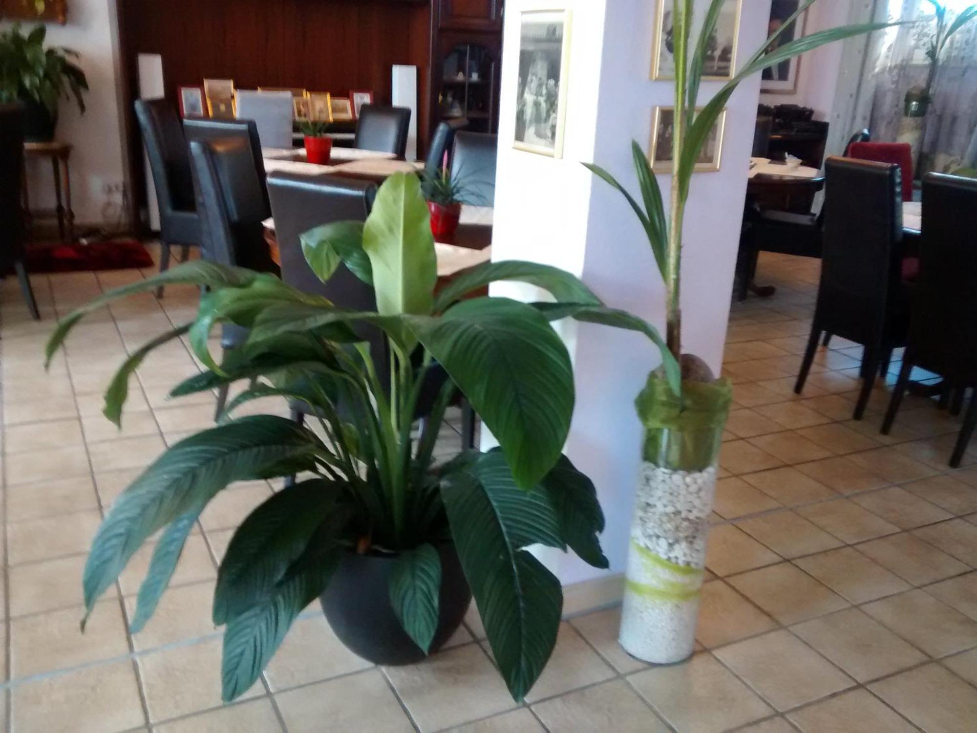 Hotel Attaché Raunheim Buitenkant foto